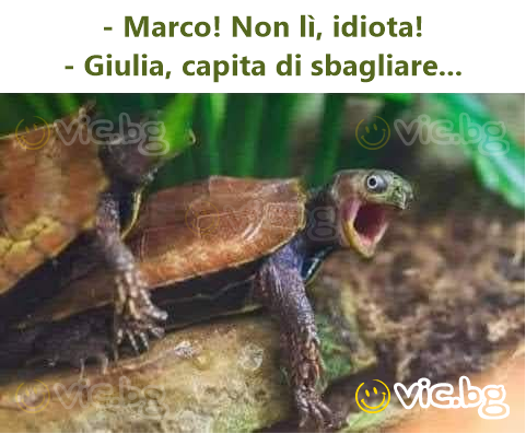 - Marco! Non lì, idiota! - Giulia, capita di sbagliare...