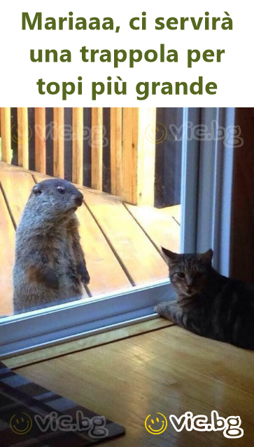 Mariaaa, ci servirà una trappola per topi più grande
