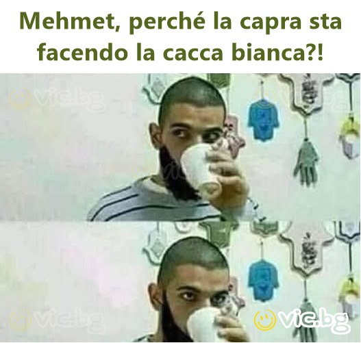 Mehmet, perché la capra sta facendo la cacca bianca?!