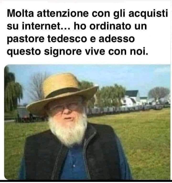 Molta attenzione con gli acquisti su internet... ho ordinato un pastore tedesco e adesso questo signore vive con noi.