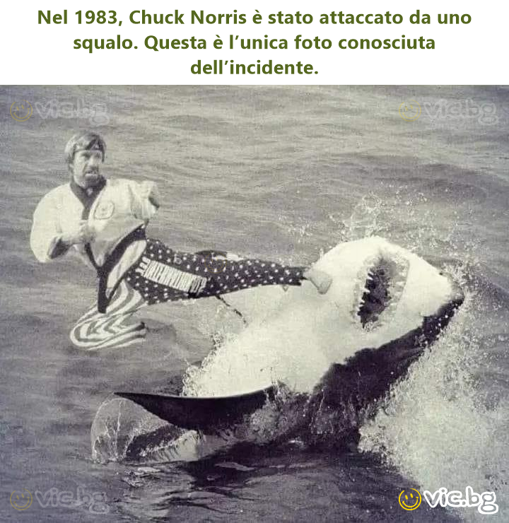 Nel 1983, Chuck Norris è stato attaccato da uno squalo. Questa è l’unica foto conosciuta dell’incidente.