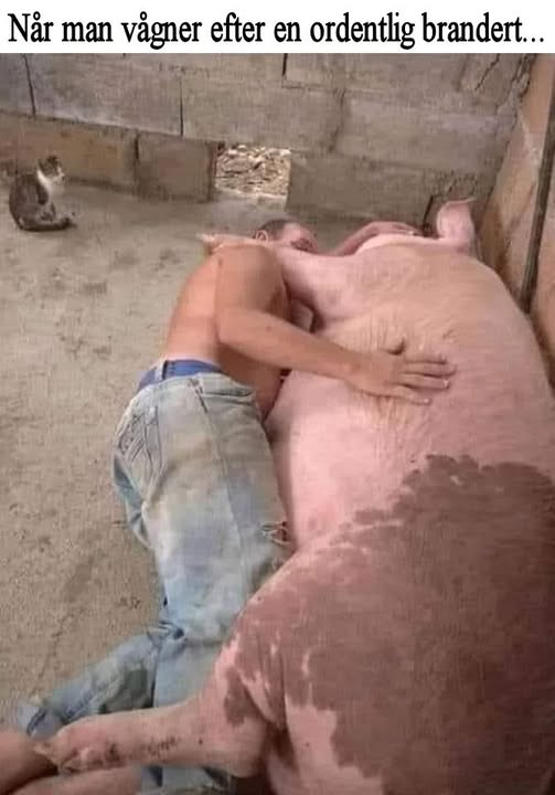 Noce italiana Vs schiaccianoci cinese