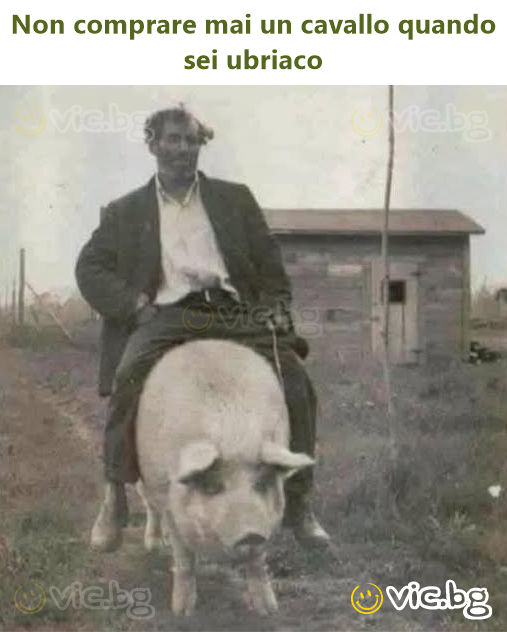 Non comprare mai un cavallo quando sei ubriaco