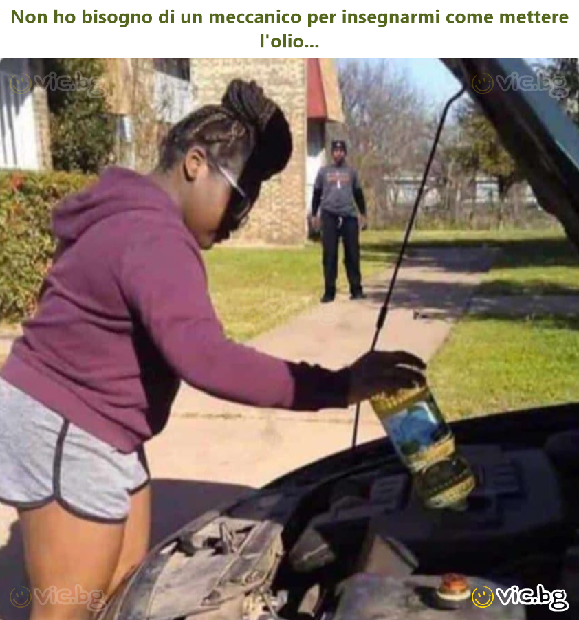 Non ho bisogno di un meccanico per insegnarmi come mettere l'olio...