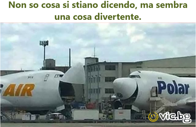 Non so cosa si stiano dicendo, ma sembra una cosa divertente.