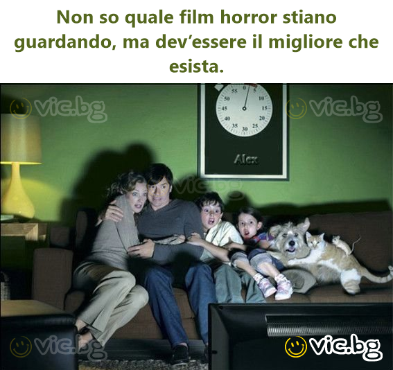 Non so quale film horror stiano guardando, ma dev’essere il migliore che esista.