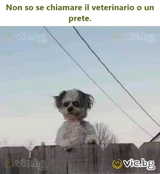 Non so se chiamare il veterinario o un prete.