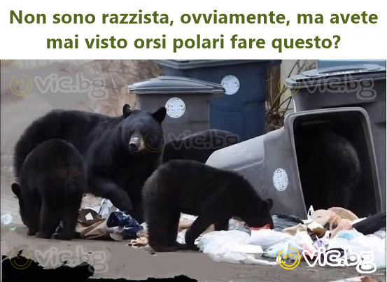 Non sono razzista, ovviamente, ma avete mai visto orsi polari fare questo?