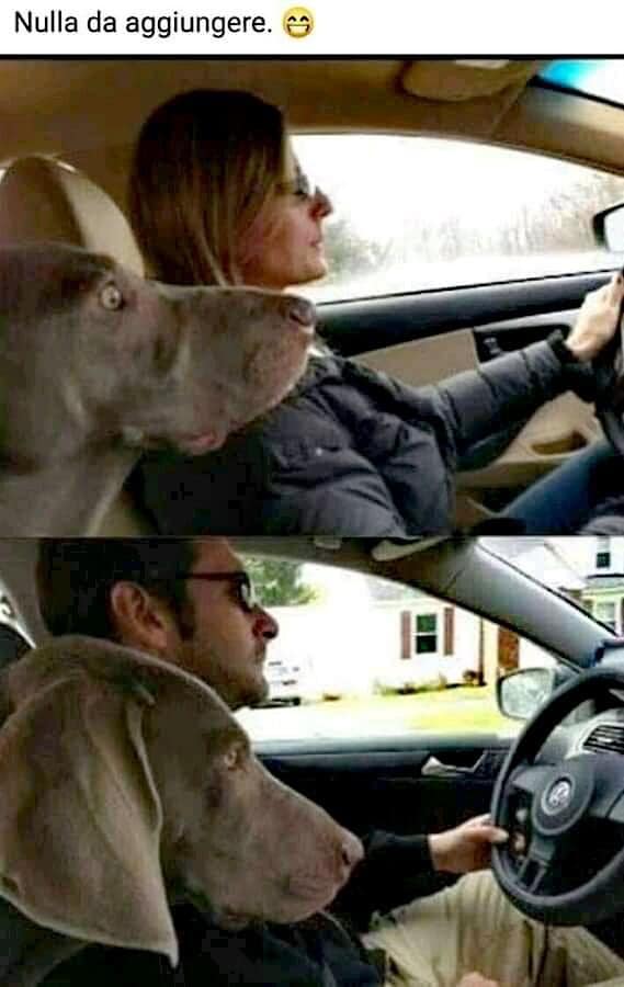 Nulla da aggiungere.