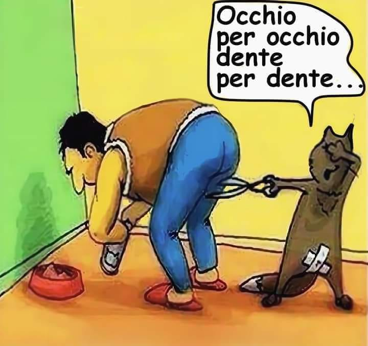 Occhio per occhio dente per dente..