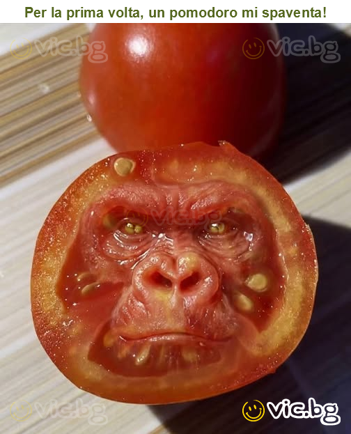 Per la prima volta, un pomodoro mi spaventa!