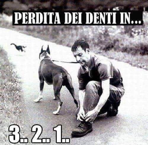 PERDITA DEI DENTI IN... 3,2,1