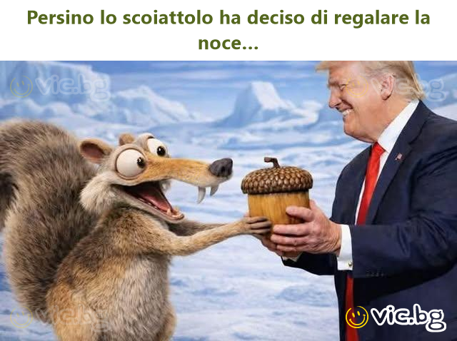 Persino lo scoiattolo ha deciso di regalare la noce…