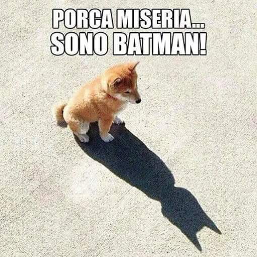porca miseria! sono batman