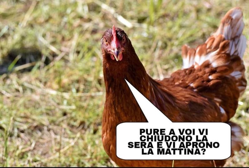 Pure a voi vi chiudono la sera e vi aprono la mattina?