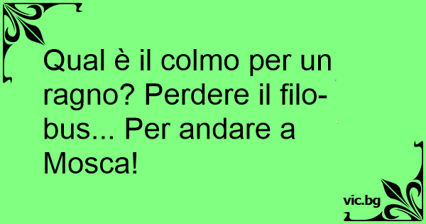 Qual E Il Colmo Per Un Ragno Perdere Il Filo Bus Per Andare A Mosca