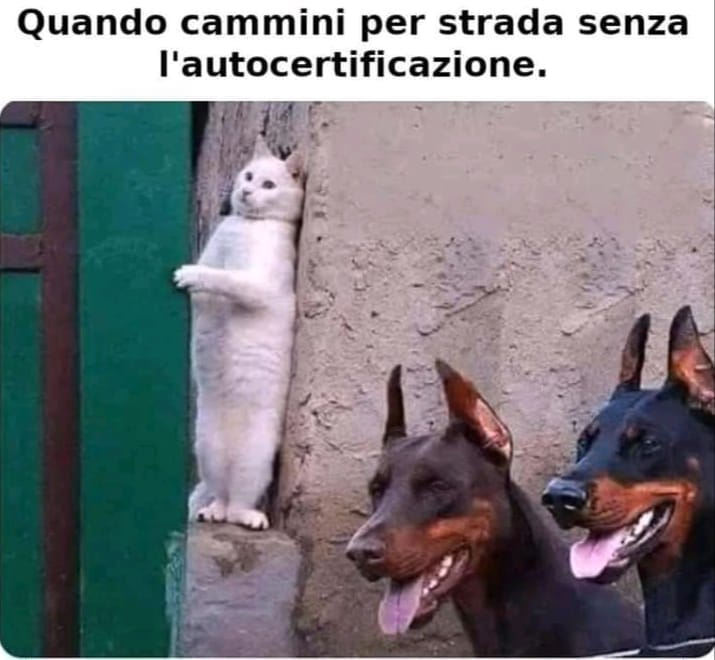 Quando cammini per strada senza l'autocertificazione.