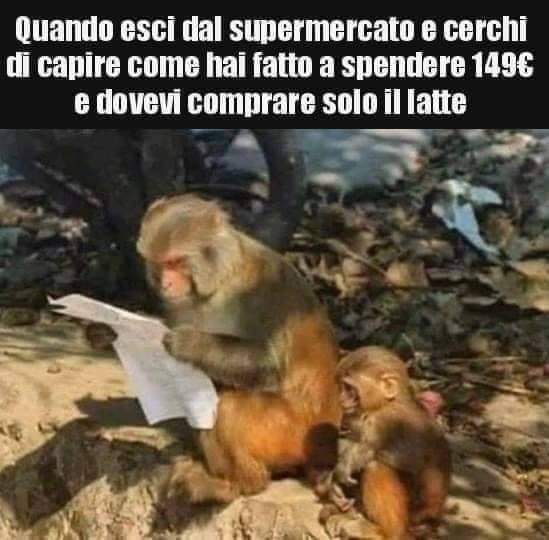 Quando esci dal supermercato e cerchi di capire come hai fatto a spendere 149C e dovevi comprare solo il latte