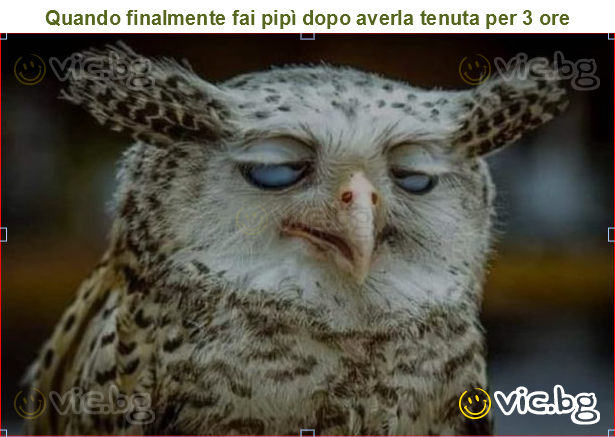 Quando finalmente fai pipì dopo averla tenuta per 3 ore