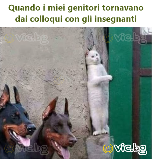 Quando i miei genitori tornavano dai colloqui соn gli insegnanti