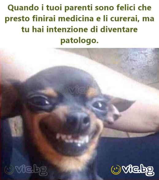 Quando i tuoi parenti sono felici che presto finirai medicina e li curerai, ma tu hai intenzione di diventare patologo.