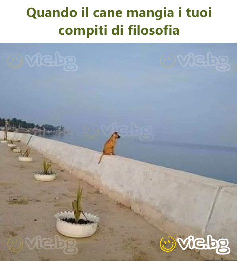 Quando il cane mangia i tuoi compiti di filosofia
