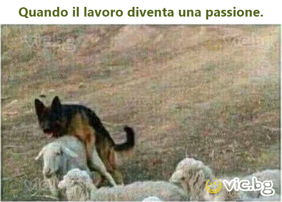 Quando il lavoro diventa una passione.