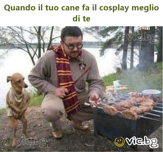 Quando il tuo cane fa il cosplay meglio di te