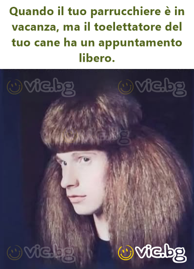 Quando il tuo parrucchiere è in vacanza, ma il toelettatore del tuo cane ha un appuntamento libero.