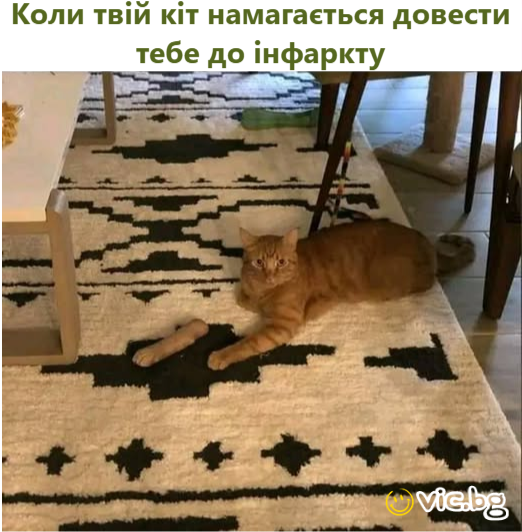 Quando Il vicino di ombrellone comincia a sваттеrе il telo da mare.    