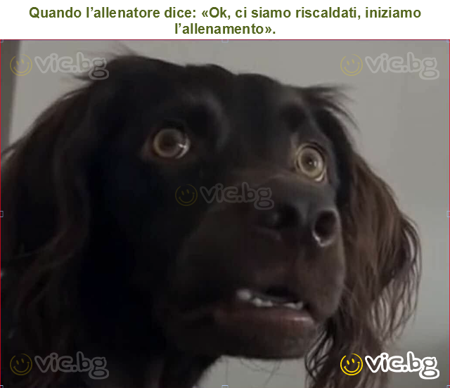 Quando l’allenatore dice: «Ok, ci siamo riscaldati, iniziamo l’allenamento».