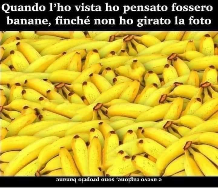 Quando l'ho vista ho pensato fossero banane, finché non ho girato la foto