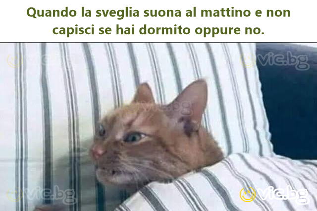 Quando la sveglia suona al mattino e non capisci se hai dormito oppure no.
