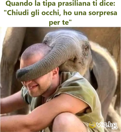 Quando la tipa prasiliana ti dice: "Chiudi gli occhi, ho una sorpresa per te"
