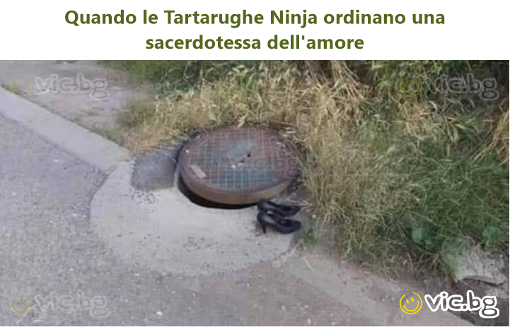Quando le Tartarughe Ninja ordinano una sacerdotessa dell'amore