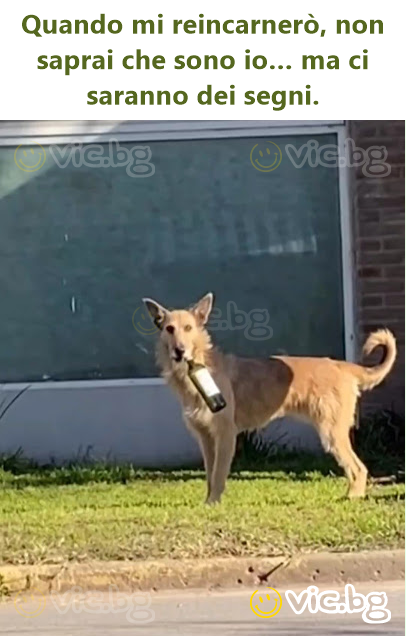 Quando mi reincarnerò, non saprai che sono io… ma ci saranno dei segni.