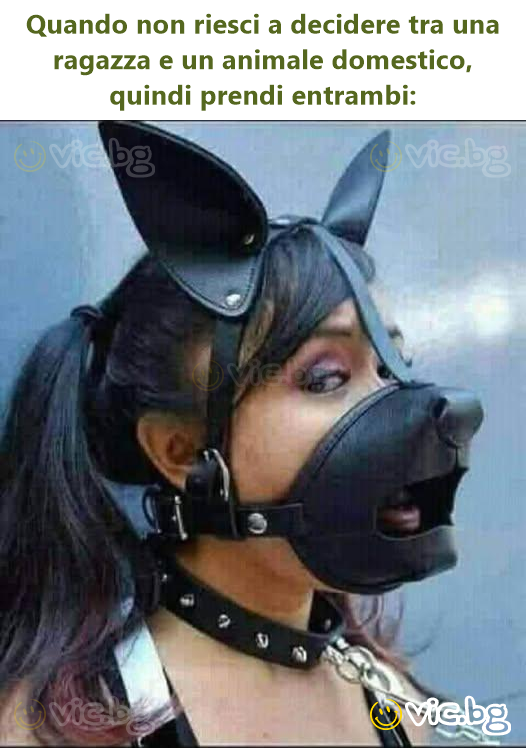 Quando non riesci a decidere tra una ragazza e un animale domestico, quindi prendi entrambi: