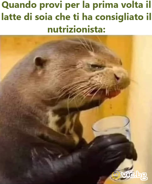 Quando provi per la prima volta il latte di soia che ti ha consigliato il nutrizionista:
