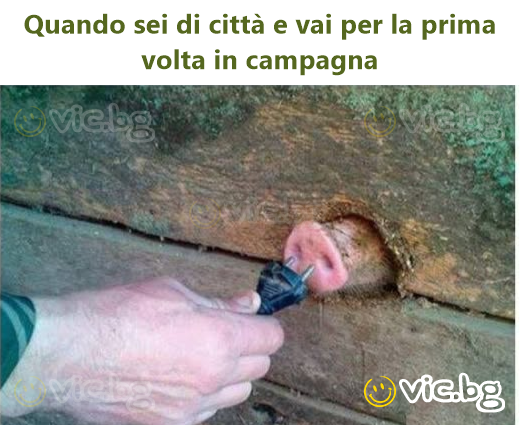 Quando sei di città e vai per la prima volta in campagna