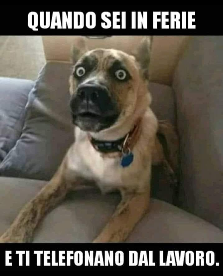 Quando sei in ferie • e ti telefonano dal lavoro.