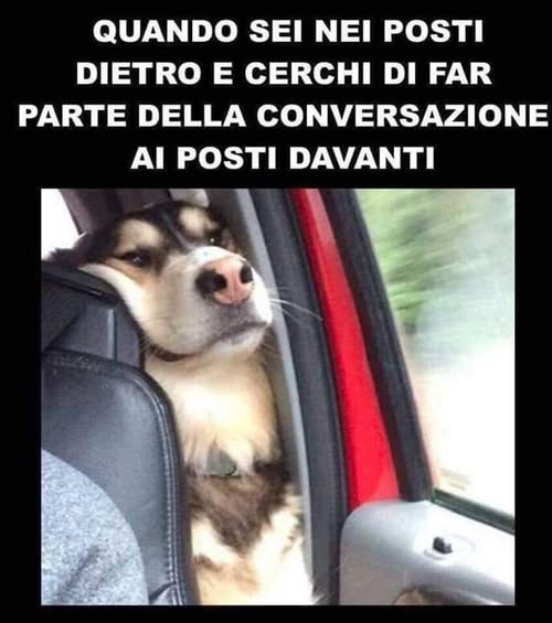 Quando sei nei posti dietro e cerchi di far parte della conversazione ai posti davanti