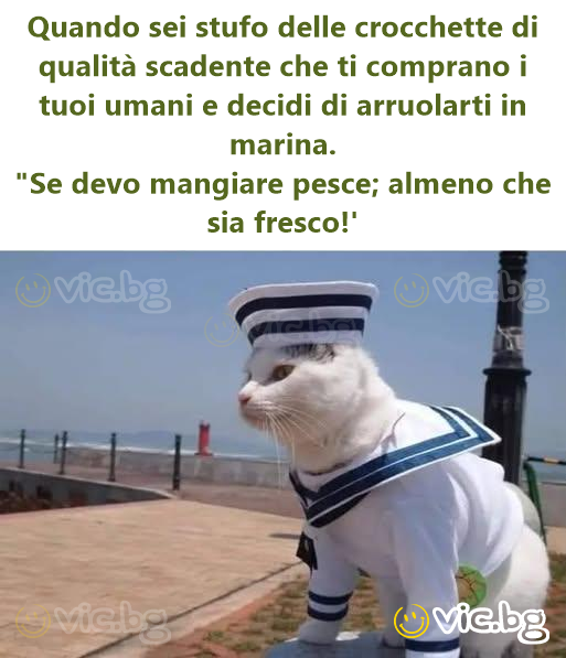 Quando sei stufo delle crocchette di qualità scadente che ti comprano i tuoi umani e decidi di arruolarti in marina. "Se devo mangiare pesce; almeno che sia fresco!'
