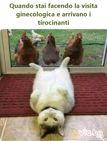 Quando stai facendo la visita ginecologica e arrivano i tirocinanti