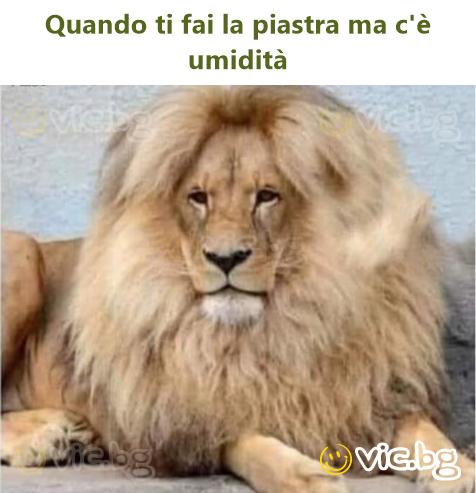 Quando ti fai la piastra ma c'è umidità 