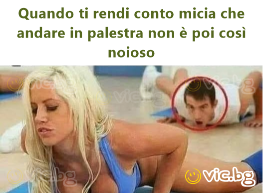 Quando ti rendi conto micia che andare in palestra non è poi così noioso