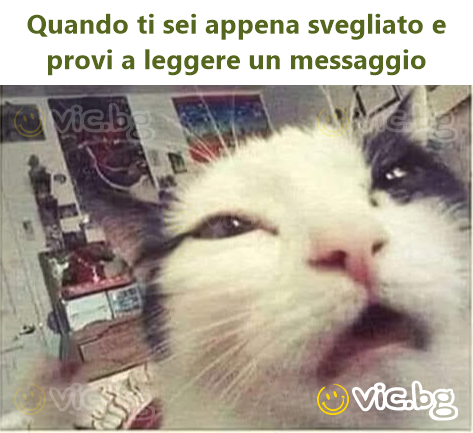 Quando ti sei appena svegliato e provi a leggere un messaggio
