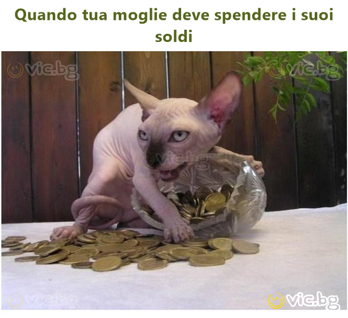 Quando tua moglie deve spendere i suoi soldi