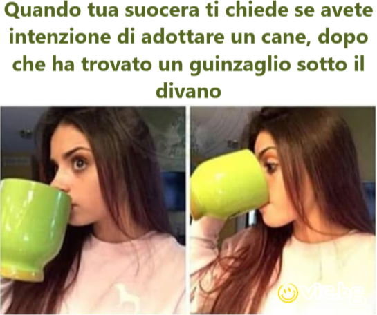 Quando tua suocera ti chiede se avete intenzione di adottare un cane, dopo che ha trovato un guinzaglio sotto il divano