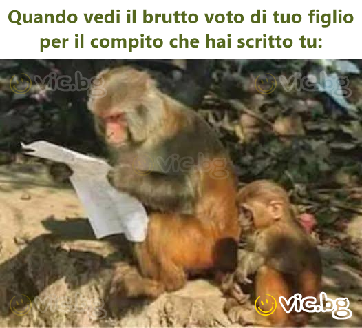 Quando vedi il brutto voto di tuo figlio per il compito che hai scritto tu: