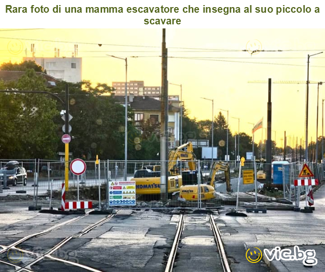 Rara foto di una mamma escavatore che insegna al suo piccolo a scavare